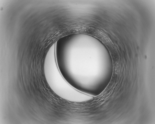 X0000087751298200705070941