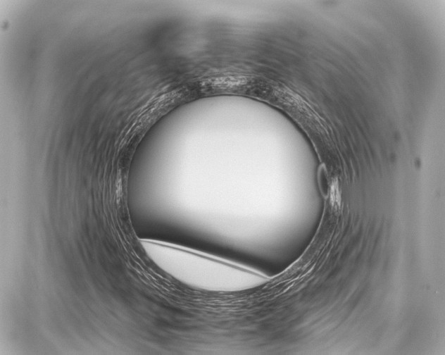 X0000087751299200705070941