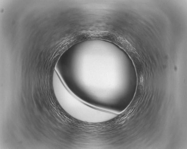 X0000087751300200705070941