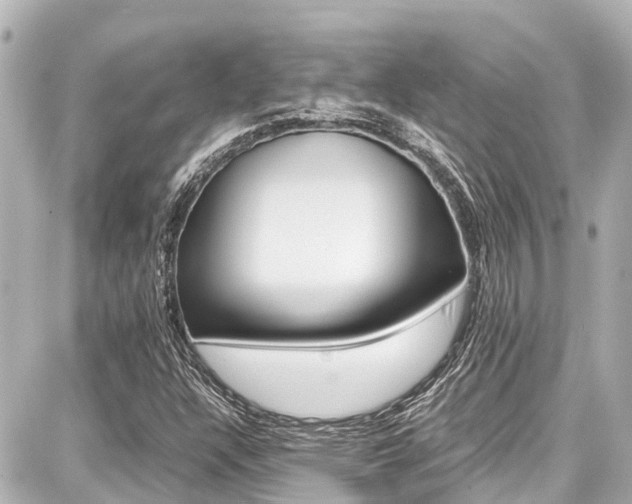 X0000087751304200705070941