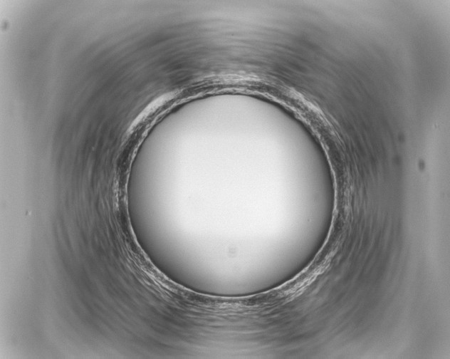 X0000087751306200705070941