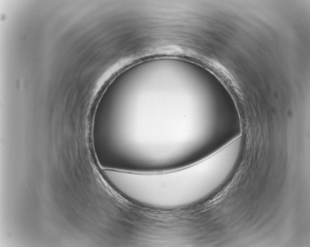 X0000087751326200705070942