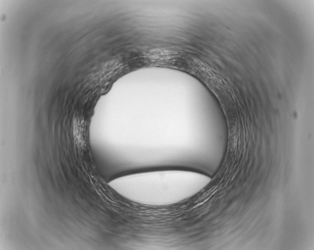 X0000087751346200705070941