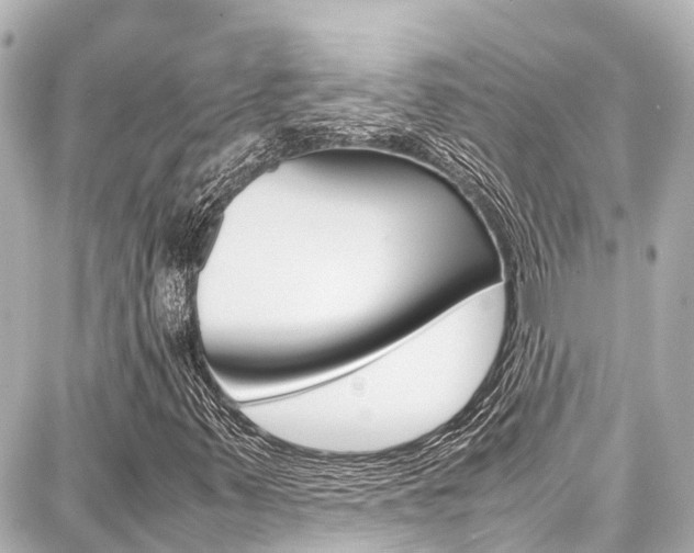 X0000087751347200705070941