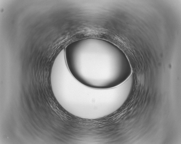X0000087751348200705070941