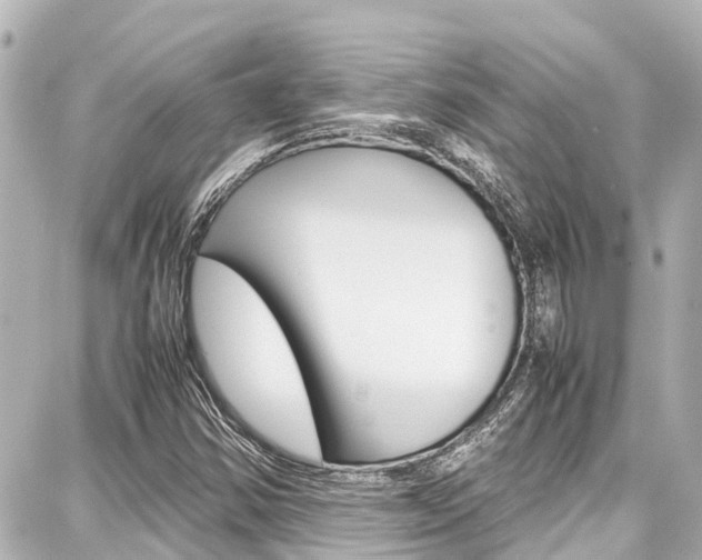 X0000087751354200705070941