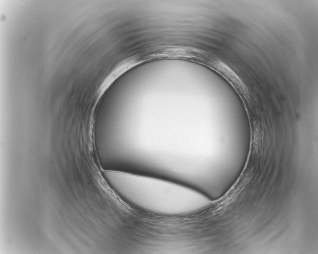 X0000087751378200705070941