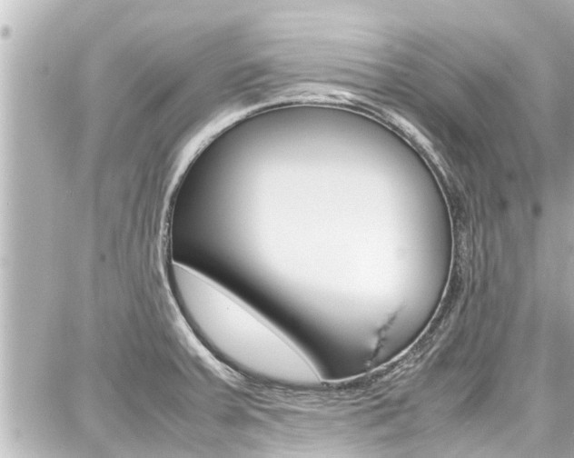 X0000087751379200705070940