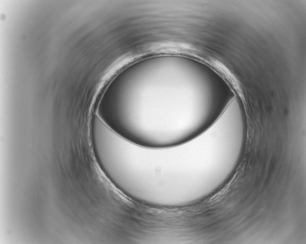 X0000087751384200705070940