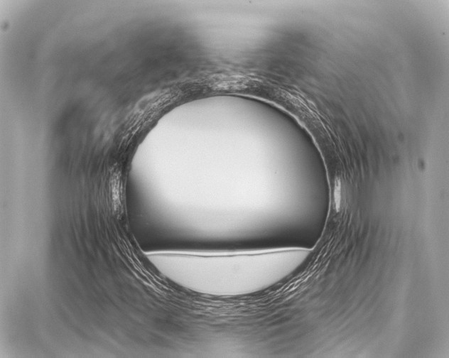 X0000087751444200705070939