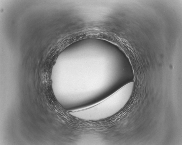 X0000087751445200705070939