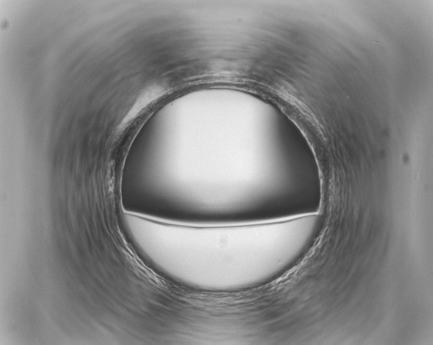 X0000087751450200705070939
