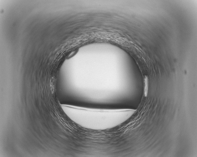 X0000087751491200705070938