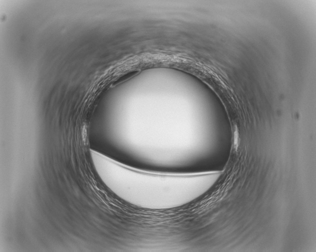 X0000087751492200705070938