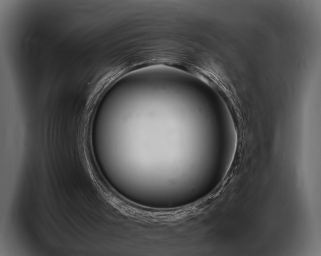 X0000087750001200705071123