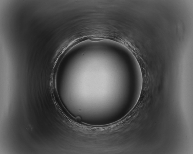 X0000087750002200705071123