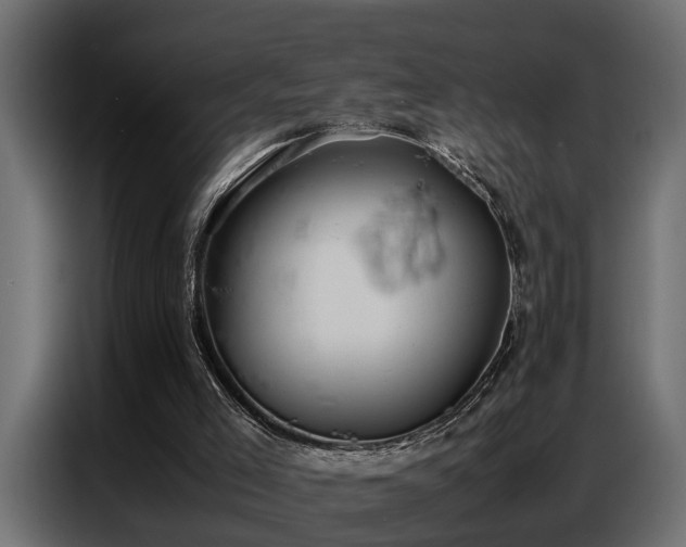 X0000087750005200705071123
