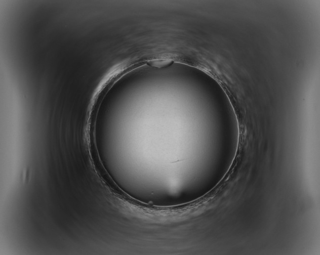 X0000087750006200705071123