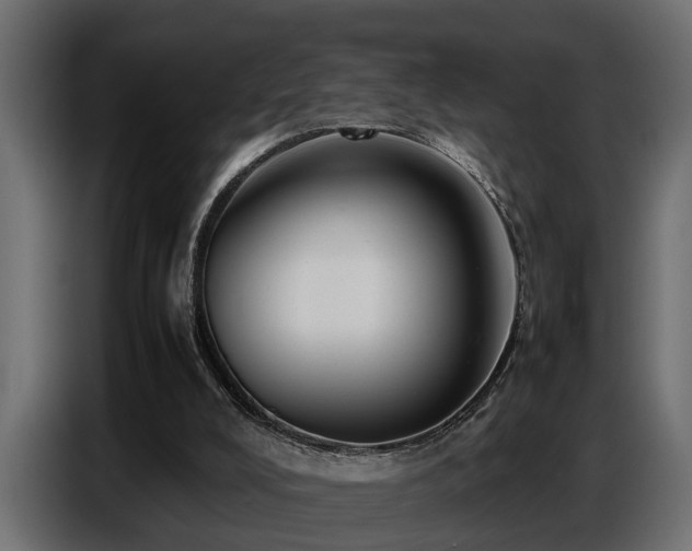 X0000087750008200705071123
