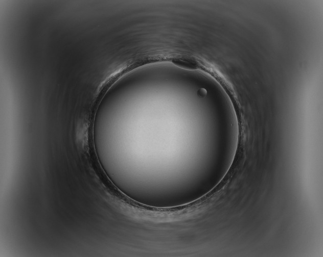 X0000087750010200705071123