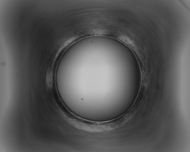 X0000087750012200705071123
