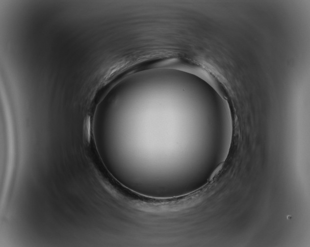 X0000087750013200705071123
