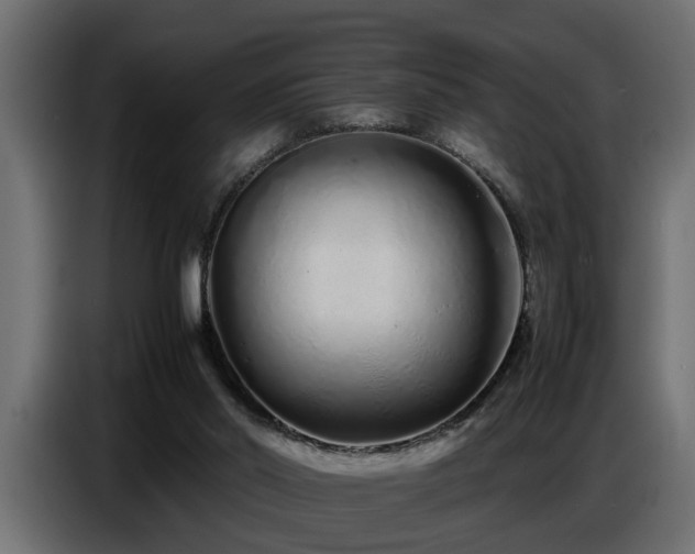 X0000087750014200705071123