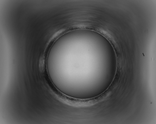 X0000087750016200705071122