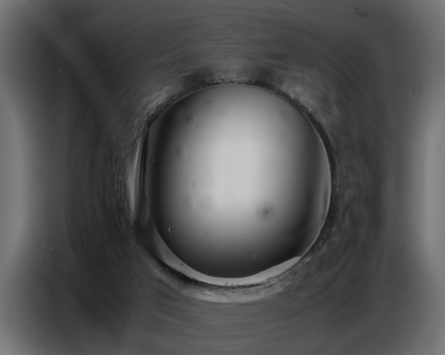 X0000087750017200705071122
