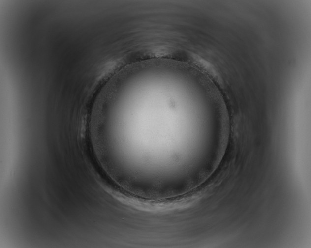 X0000087750018200705071122