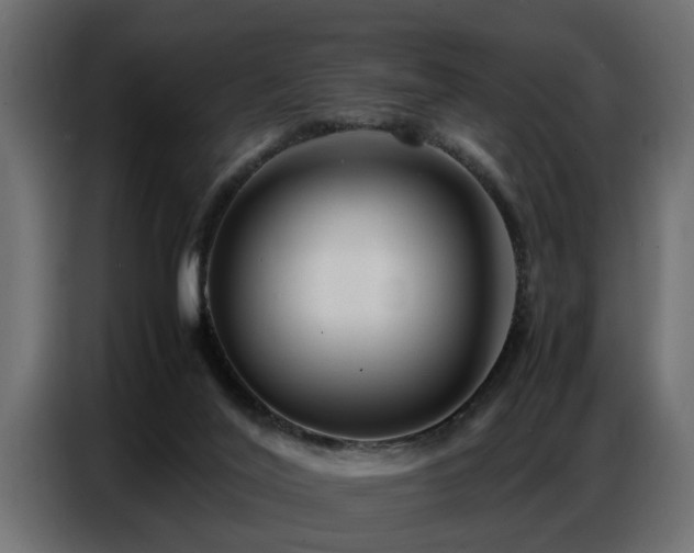 X0000087750020200705071122