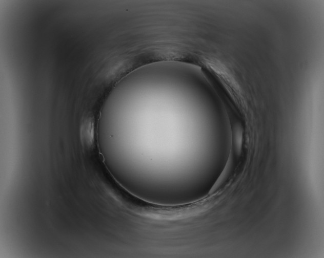 X0000087750021200705071122