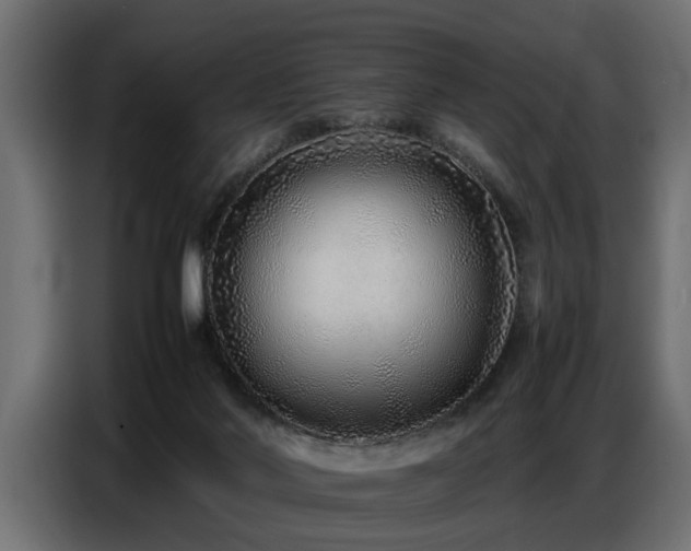 X0000087750022200705071122