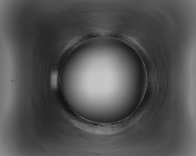X0000087750024200705071122