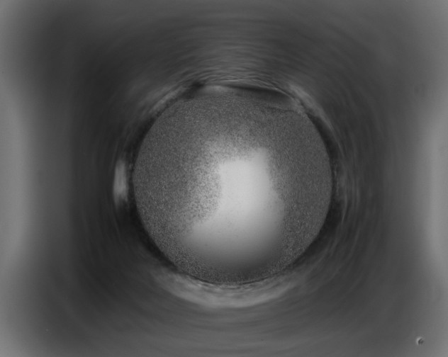 X0000087750026200705071122