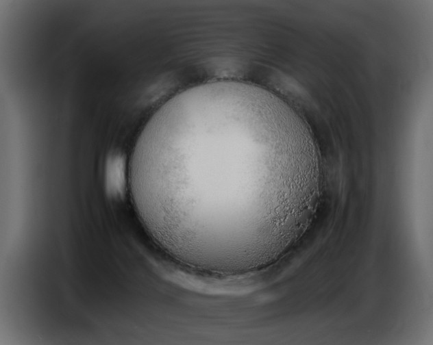 X0000087750028200705071122