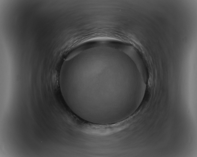 X0000087750029200705071122