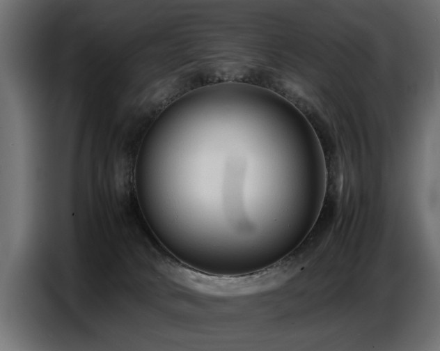 X0000087750034200705071122