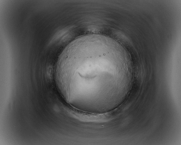 X0000087750036200705071122