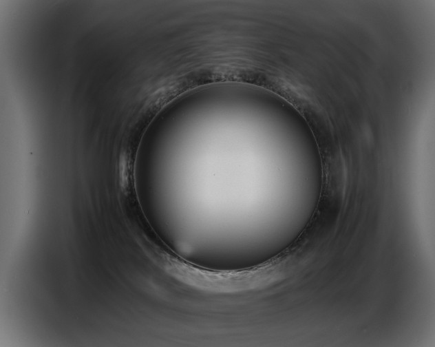 X0000087750038200705071122