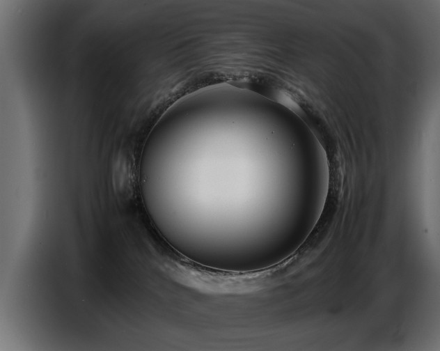 X0000087750040200705071122