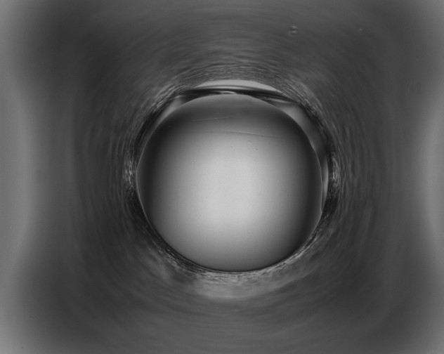X0000087750045200705071122