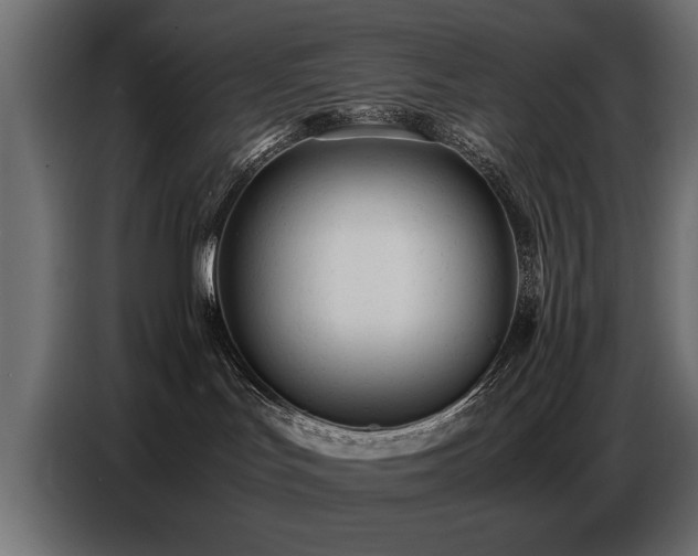 X0000087750047200705071122