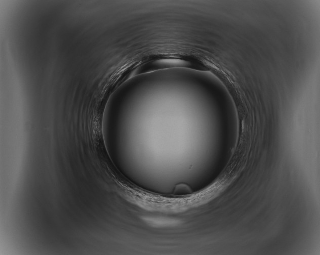 X0000087750048200705071122
