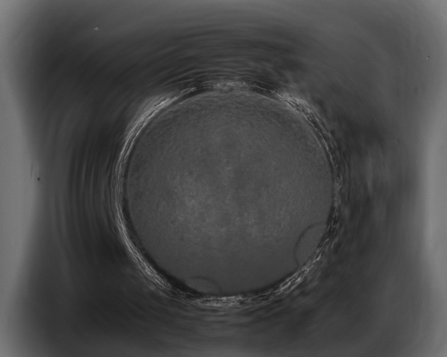 X0000087750049200705071121