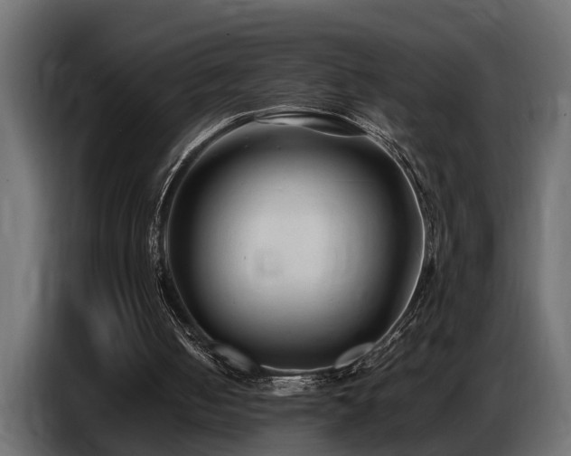 X0000087750050200705071121