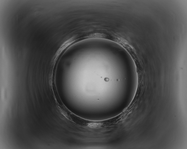 X0000087750051200705071121
