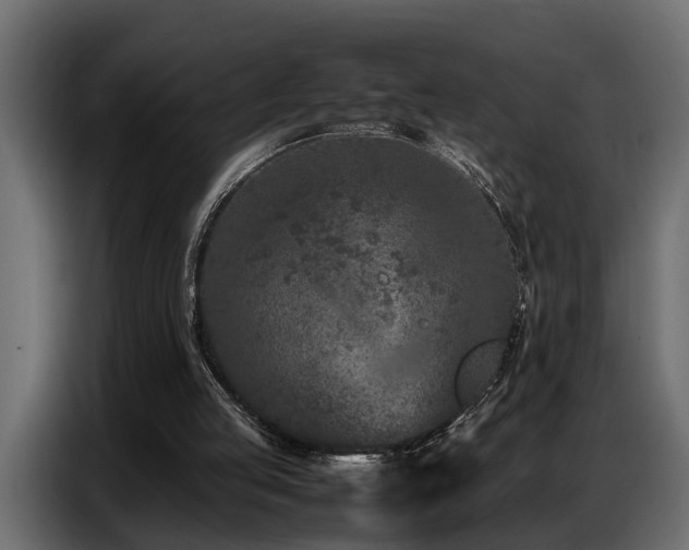 X0000087750053200705071121