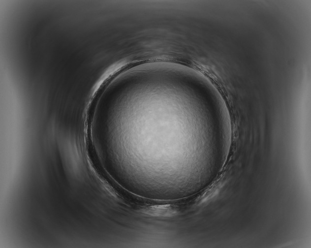 X0000087750054200705071121