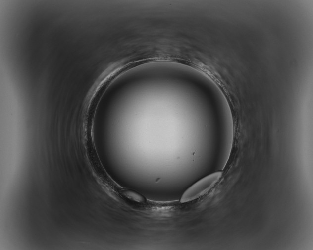 X0000087750055200705071121